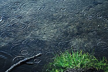 Étendue d'eau