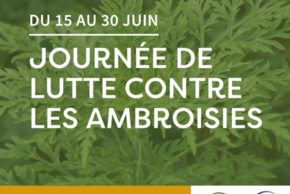 Affiche des journées de lutte contre les ambroisies