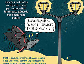 Illustration "Pourquoi réduire l'éclairage public" 3e partie - Agrandir l'image (fenêtre modale)