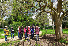 Les arbres remarquables de Poitiers