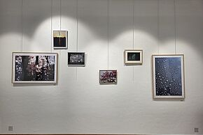 Photo La nature c'est nous : exposition photographique