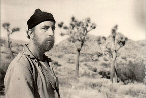 Herman Dune