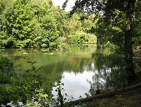 Étendue d'eau - Agrandir l'image (fenêtre modale)