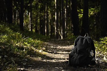 Sac à dos dans une forêt