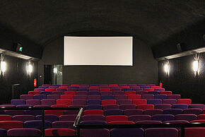 Photo "La Quinzaine en salle : Cannes à Poitiers !"