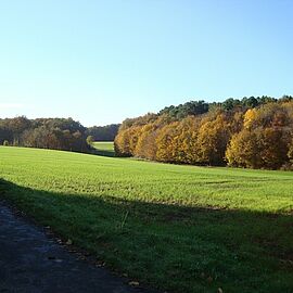 Chapelle moulière