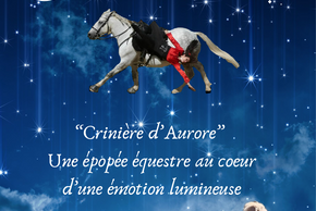 affiche Spectacle Équestre