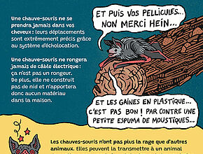 Bande-dessinée "Comment préserver les chauves-souris" 7e partie - Agrandir l'image (fenêtre modale)