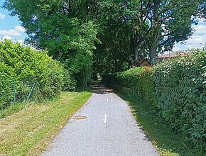 Agrandir l'image (fenêtre modale)