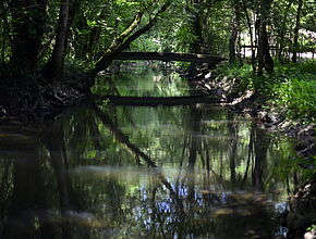 Agrandir l'image (fenêtre modale)