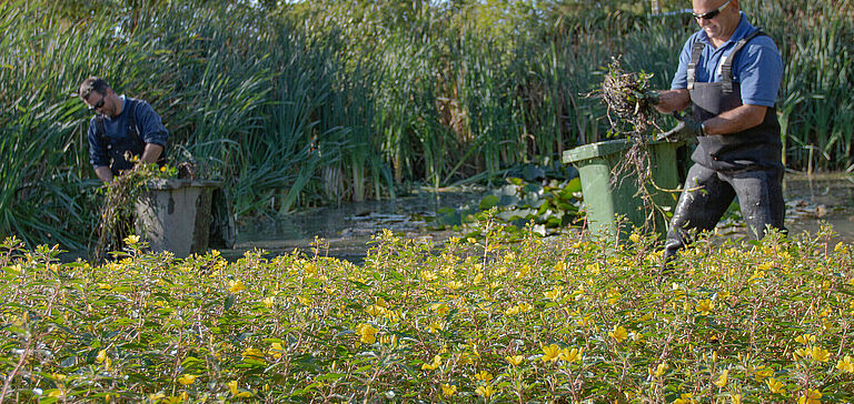 Deux personnes engagées dans des travaux agricoles