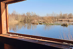Photo "Permanence à la réserve naturelle régionale de Saint-Cyr"
