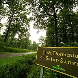 Saint-Sauvant