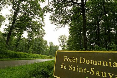 Saint-Sauvant