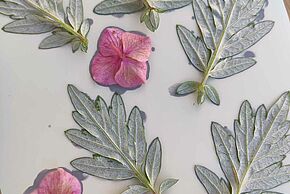 photo d'une œuvre de l'Exposition : Clémentine Chapron et le secteur ados de la M3Q