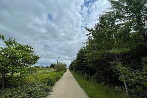L’image montre un paysage extérieur paisible avec un chemin de gravier étroit et droit traversant un paysage verdoyant