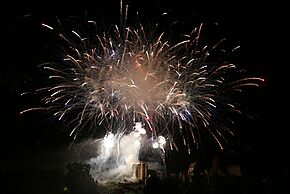 Feu d'artifice du 14 juillet