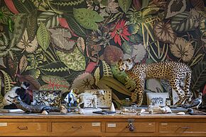 Escape game - Le Café des Curiosités