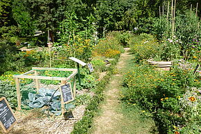 photo permaculture