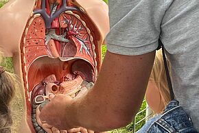 À la découverte du corps humain