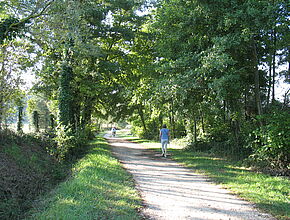 Agrandir l'image (fenêtre modale)