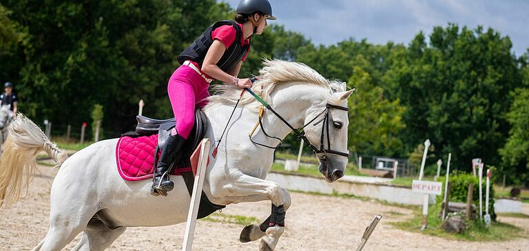 cavalier saut d'obstacle