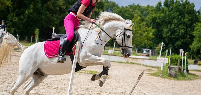 cavalier saut d'obstacle