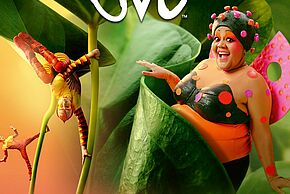 Cirque du Soleil