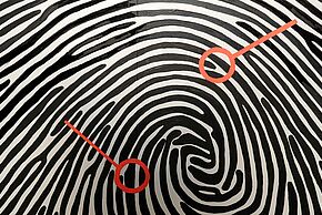 Mais que fait la police scientifique ?