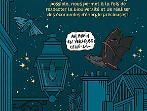 Illustration "Pourquoi réduire l'éclairage public" 10e partie - Agrandir l'image (fenêtre modale)