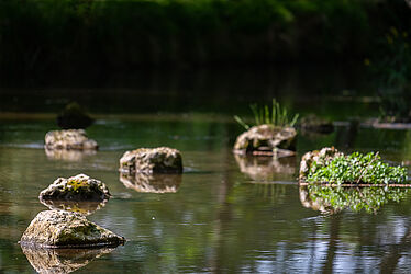 Rochers dans une étendue d'eau 