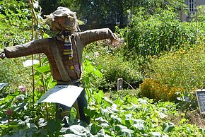 Photo La permaculture c'est nul !