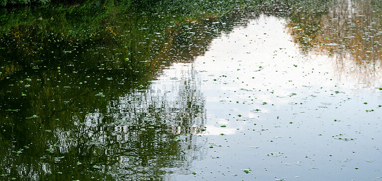 Étendue d'eau