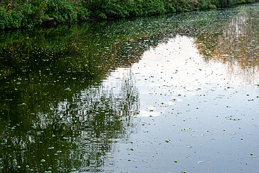 Étendue d'eau