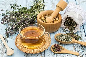 Atelier tisane et plantes médicinales