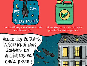 Bande-dessinée "Comment préserver les chauves-souris" 9e partie - Agrandir l'image (fenêtre modale)