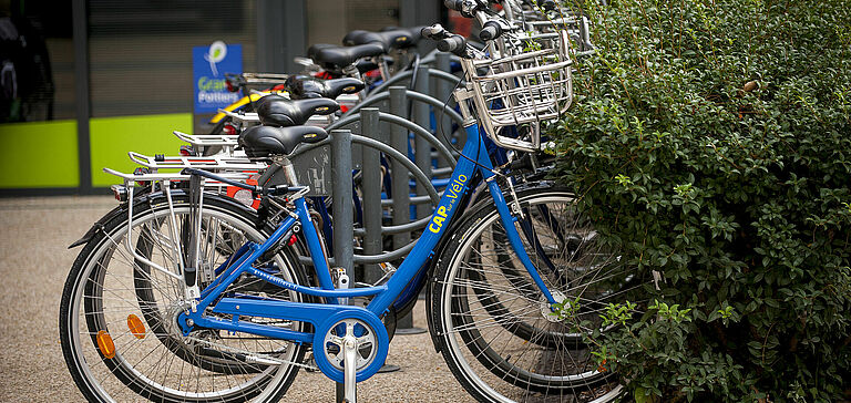 Vélos du service "Cap sur le Vélo" stationnés 