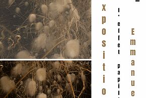 Vernissage exposition photographique {l'effet papillon}