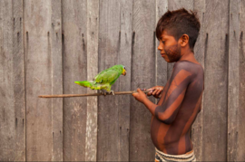image d'un enfant avec un oiseau-crédit Samuel Macedo - Agrandir l'image (fenêtre modale)