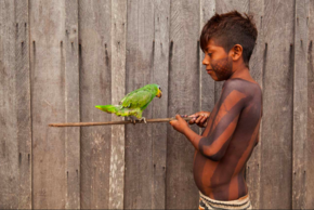 enfant tenant un oiseau