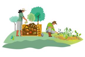 illustration d'un jardin 
