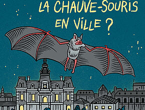 Bande-dessinée "Comment préserver les chauves-souris" - Agrandir l'image (fenêtre modale)