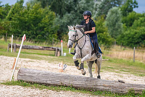 Photo d'une cavalière sur son cheval
