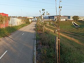 Agrandir l'image (fenêtre modale)