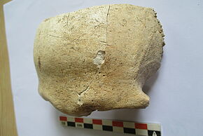 Photo "Musée archéologique et d'histoire de Béruges"