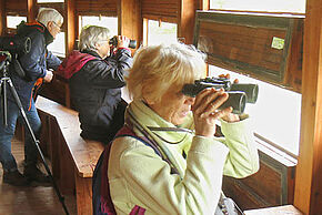 Photo Permanence à la réserve naturelle régionale de Saint-Cyr