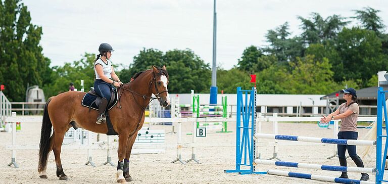 cavalier devant un obstacle