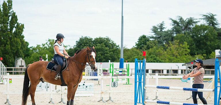 cavalier devant un obstacle