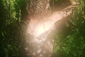 Photo "Midi-poésie - Primevères fantômes"