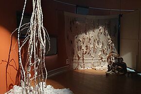 photo de l'exposition "Natura Sive" de Cath-Anna Blanc